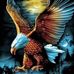 Darryl Morris - Facebook