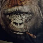 Darryl Morris - @tinm.an1234 - Instagram