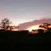 Darryl Omoy - @darryl.omoy - TikTok