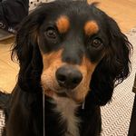 Darryl Mullen - @darrylmullen - Instagram
