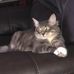 Daryl Murdock - Facebook