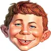 Darryl Neumann - @animalv4r - TikTok