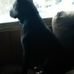 Daryl Newell - Facebook