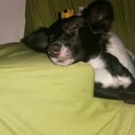 Darryl Noble - @moureynuryde - Instagram