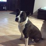 Darryl Stewart - @darrylnoelstewart - Instagram