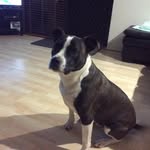 Darryl Stewart - @darrylnoelstewart - Instagram