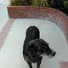Norman Darryl Hudson - @norman.darryl.hud - TikTok