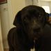Darryl Oberling - Facebook