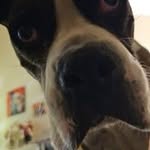Daryl Odom - @odie2871 - Instagram