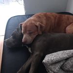 Daryl Odonnell - @daryl.odonnell.1 - Instagram