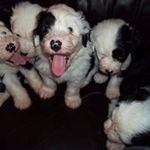 Darryl Brogden - @brogdendarryl - Instagram