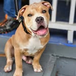 Darryl Ogden - @dogden82 - Instagram