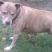 Darryl Ogden - Facebook