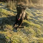 Darryl Ogden - @darryl.ogden - Instagram