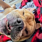 Darryl Ogden - @d.w.ogden - Instagram