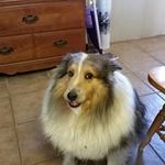 Darryl Olson - @darrylolson83 - Instagram