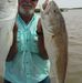 Darryl Orr - Facebook