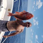 Darryl owens - @darrylowens49 - Instagram
