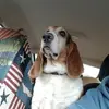 darrylpadgett820 - @darrylpadgett820 - TikTok