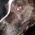 Darryl  parraway - @darrylparraway - Instagram