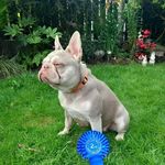 Darryl Parr - @parrdarryl9 - Instagram