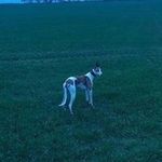 Daryl Pearce - @daryl.pearce.71 - Instagram