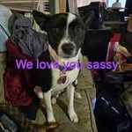 Darrell Peoples - @darrellwpeoples - Instagram
