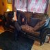 Darryl Raynor - Facebook
