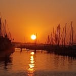 Daryl Raynor - @raynor.daryl - Instagram