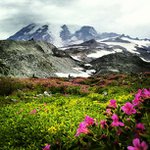 @darrylroach3192 - Instagram