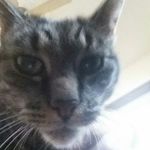 Darryl Ruthers - @darrylruthers - Instagram