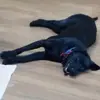 Darryl Seals - @darryl.seals - TikTok
