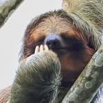 Darryl Sears - @eagle_cp66 - Instagram