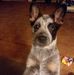 Darrell Seitz - Facebook