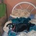 Darryle Searle - Facebook