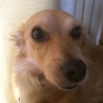 Darrylshepherd - @darrylshepherd9036 - Instagram