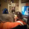 Daryl Shockey - @darylshockey - TikTok