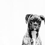 Darryl Short - @dazaphoto - Instagram