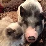 Darryl Silva - @bigds550 - Instagram