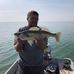 Darrell Sinclair - Facebook