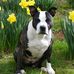 Daryl Snelling - Facebook