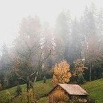 Eckhard Dettmer - @darrylsnyder3801199 - Instagram