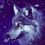 Darryl Sobey - @datsugika - Instagram