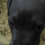 Daryl Spears - @daryl.spears.52 - Instagram