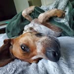 Darryl Spivey - @dd76237 - Instagram