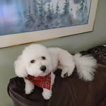 Darryl Spivey - @darryl.space - Instagram