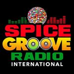 Darryl Springer, Marketing Director - @spicegrooveradiointernational - Instagram