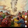 darrylstacey1 - @darrylstacey1 - TikTok
