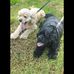 Darryl Stanton - Facebook