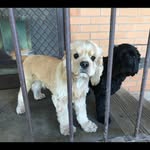 Darryl Stanton - @darrylstanton69 - Instagram